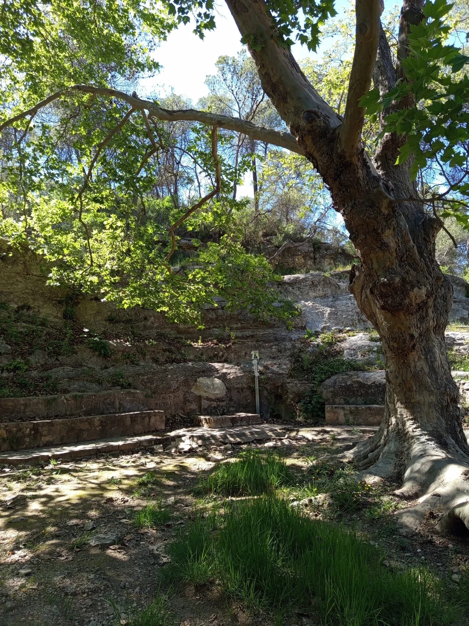 5 razones para invertir en turismo rural en Valencia