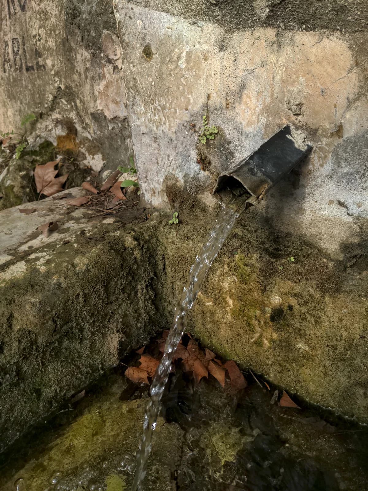 Fuente natural de agua corriente que da nombre a la propiedad en Navarrés